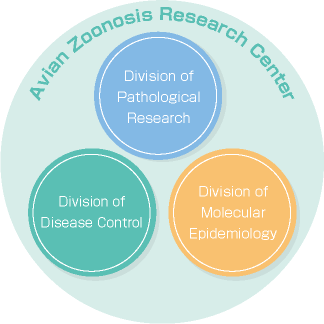 AZRC Chart of Cooperation