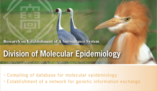 Division of Molecular Epidemiology
