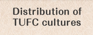 Distribution of TUFC cultures