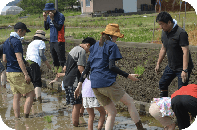 主な活動について