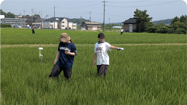 フィールド教育部門