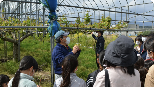 フィールド活用部門