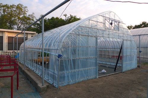 greenhouse01.jpg