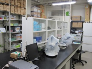 laboratory.jpg