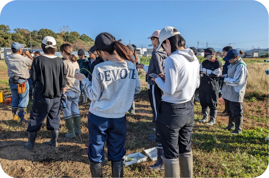 フィールド活用部門